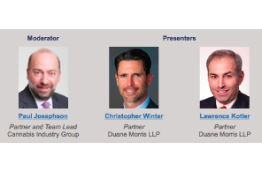 Duane Morris’ Business Reorganization and Financial Restructuring Practice Group for a discussion on the workout process, especially the complexities involved for cannabis companies