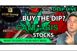 February 13 2021: Buy the Dip in Cannabis Stocks? What to Expect Next Week in MJ Land | MJ Sector Review FEB 12TH 2021