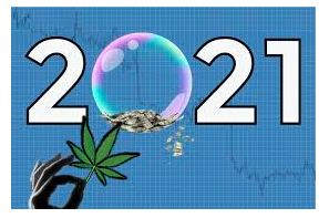 The Forecast for Cannabis Reform in 2021: What You Can Expect 