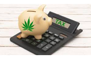 Article: Cannabis Accounting Highs and Lows