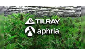 Press Release: Aphria to Host Special Meeting of Shareholders on Wednesday, April 14, 2021 to Approve Proposed Aphria-Tilray Business Combination