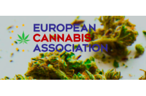 The European Cannabis Association Launches