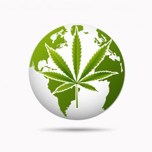 Cannabis Is A Global Conversation: The Founder Institute and Arcview Group Partner UpTo Further Establish San Fransisco Bay Area As Center for Cannabis Innovation and To Launch the Cannabis Ecosystem Program To Build 30 Startups In 2021