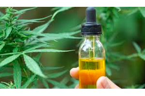 Top 7 best CBD oil products