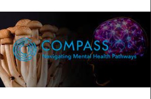 Compass Pathways: Legal Counsel (life sciences) clinical, regulatory, licensing New York