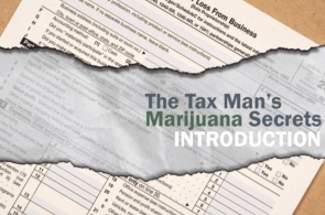 MJ Biz Report: Newly released IRS documents detail efforts to collect taxes from marijuana companies under 280E