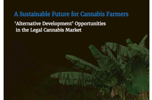 Transnational Institute New Report: A Sustainable Future for Cannabis Farmers - ‘Alternative Development’ Opportunities in the Legal Cannabis Market