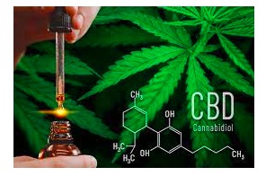 Where to Buy CBD Products