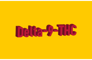 Article - Reality Sandwich: The Ultimate Guide To Delta 9 THC