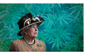 Her Maj Says Cannabis Meds OK !  GW Pharma Get Queen’s Award for Enterprise in Innovation
