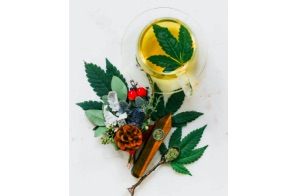 The Basic Guide For CBD Tea: A Match Made In Tea Heaven