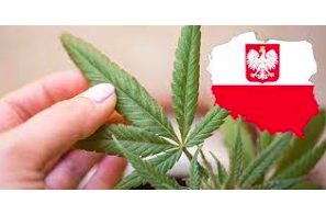Poland near accord on raising hemp THC level to 0.3%