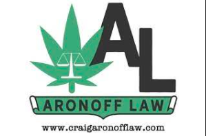 Associate Attorney Aronoff Law Royal Oak, MI 48067