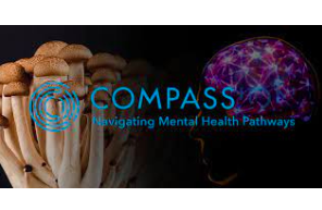 Compass Pathways:   Legal Counsel (life sciences) clinical, regulatory, licensing New York