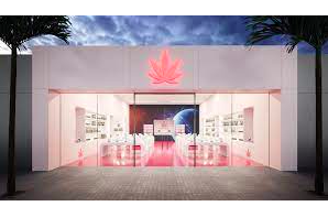Corporate Attorney Neptune Cannabis Company Beverly Hills, CA 90211