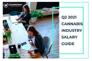 Cannabis Industry Salary Report: Increased Demand For Top Talent As Salaries Continue To Surge