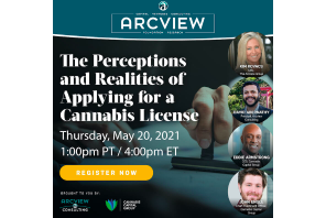 The Perceptions & Realities of Applying For A Cannabis License