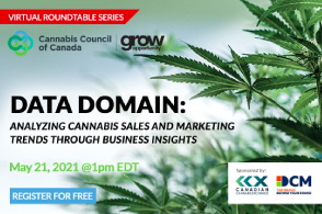Data Domain: Analyzing Cannabis Sales and Marketing Trends through Business Insights