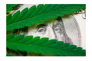Is Money the Reason Cannabis Is Still Illegal at the Federal Level?