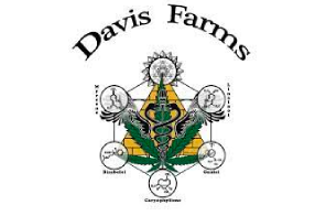 Davis Farms of Oregon receives plant patents, aligns with The Hemp Mine