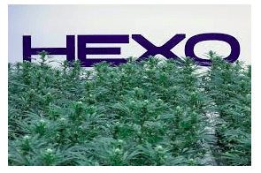 Hexo leapfrogs competitors with CA$925 million deal for rival cannabis producer Redecan