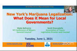 NYS Tug Hill Commission The New Cannabis Law: Considerations for Towns and Villages