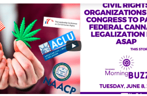 8 June: Civil Rights Organizations Urge Congress to Pass a Federal Cannabis Legalization Bill ASAP