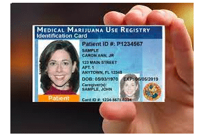 Florida medical marijuana operators in ‘catbird seat’ after state court decision