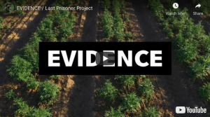 Damian Marley Video: Evidence / Last Prisoner Project