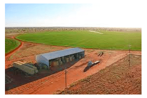 Australian group buys 1,047-ha farm, says it fits hemp strategy
