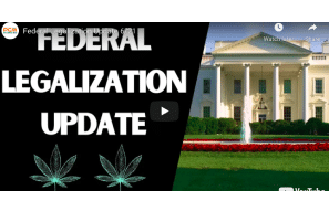 Federal Legalization Update 6/21