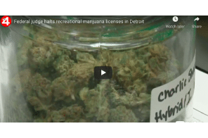 Federal judge halts recreational marijuana licenses in Detroit