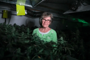 Michigan: 79 Year Old Ypsilanti registered caregiver, could face jail for defying local cannabis rules