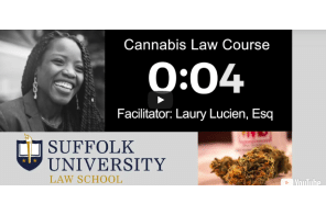 Class 7 Cannabis Law. with Facilitator: Laury Lucien, Esq  Suffolk University Law School