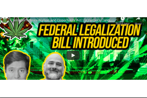 Cannabis Legalization News: Cannabis Administration and Opportunity Act | Schumer's Cannabis Bill in Senate