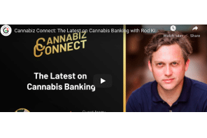 Cannabiz Connect: The Latest on Cannabis Banking with Rod Kight