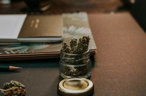 Here's What You Need For A Successful Cannabis Company