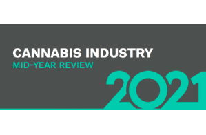 Akerna (Parent of MJ Freeway) Publish Mid Year Industry Report….”As we approach U.S. federal cannabis reform, these cannabis ancillary solutions must know their value proposition in the current and legal world.”