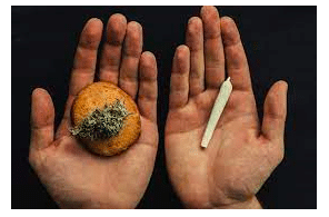 Smoking Cannabis Vs. Eating It: Important Differences To Be Aware Of