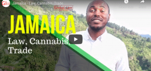 Jamaica - Law, Cannabis, Trade