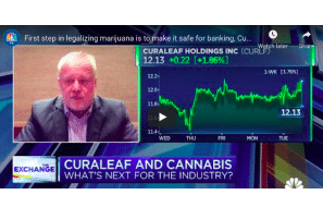 Of Course He'd Say.......  First step in legalizing marijuana is to make it safe for banking, Curaleaf CEO says