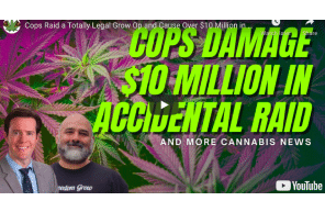 Cops Raid a Totally Legal Grow Op and Cause Over $10 Million in Damages