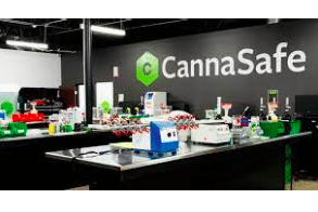 CannaSafe Announces Departure of CEO, Appoints New Management Team