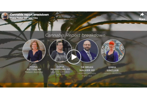Australia: Fiona Patten(Victoria) Livestream Discussing Recent Victoria Cannabis Commission & Regulated Cannabis In Australia