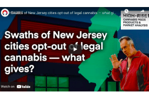 Swaths of New Jersey cities opt-out of legal cannabis — what gives?