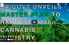 SA govt to harness R28bn cannabis industry; SA economy 11% bigger than estimated; Treasury