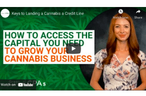 Green Growth: Keys to Landing a Cannabis a Credit Line
