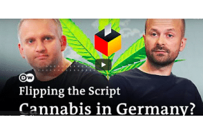 Should Germany legalize cannabis? | Flipping the Script