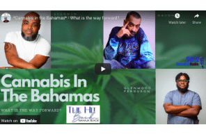 *Cannabis in the Bahamas* - What is the way forward?