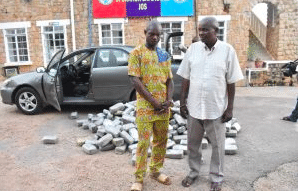Nigeria: Retired Police officer, one other nabbed with hemp worth N9.5m in Plateau